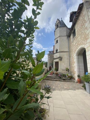 Manoir des Roches 41 - Location saisonnière - Montrichard-Val-de-Cher