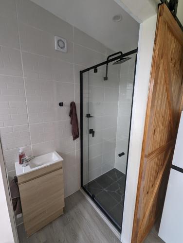 Shower, The shed in Bundeena