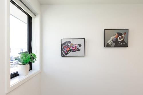 Modern 2 bedroom by Hagley Park - image 4