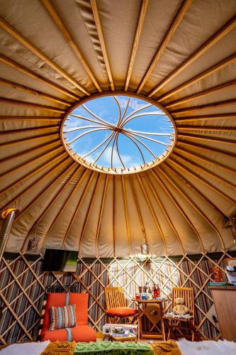 Glamping at South Lytchett Manor, Poole (fotografie 8)