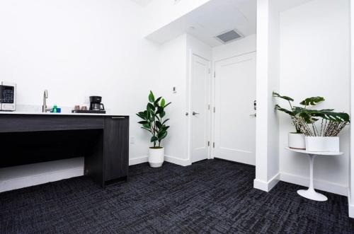 Modern Studio in Historic Boston - Unit #102, Boston (fotografie 5)
