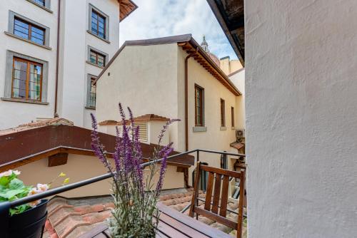 Proconsolo Holiday - image 19