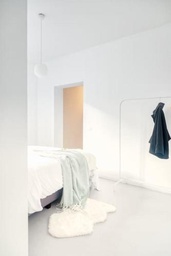 Wonderful 6P duplex in Antwerp, Amberes (foto 9)