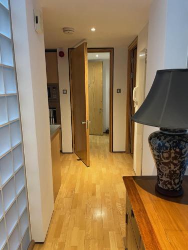 93a Grey Street Apartments - image 6