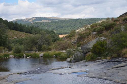 El Huerto de Pipo - image 9