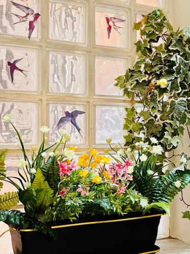 Dreamy Luxury Studio