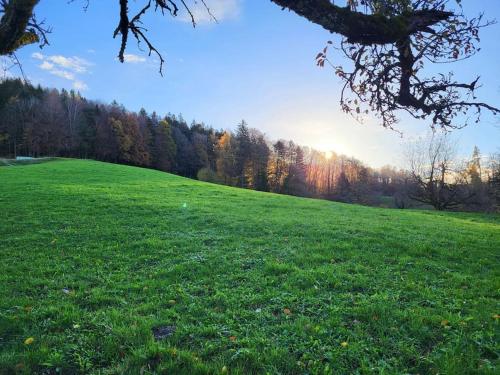 Ferienhaus in der Natur