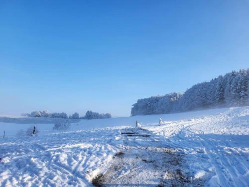 Ferienhaus in der Natur