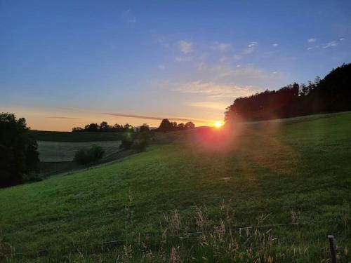 Ferienhaus in der Natur