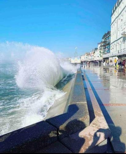 «L'Émeraude» :spacieux, lumineux, proche du Centre