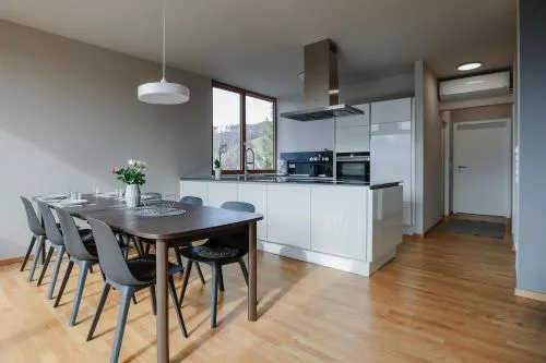 Fantastische Penthousewohnung mit 100 m2 - klimatisiert in Klaus, Österreich