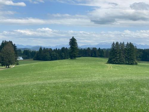"Allgäu-Herzl" Alpenchalet für Zwei