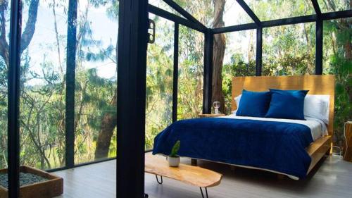 Anna Solo Vive, Villa de Leyva, Glamping Escarabajo