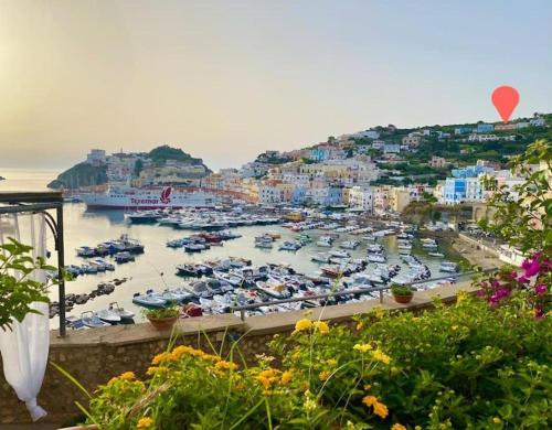 Domus Ɫ Ponza 3
