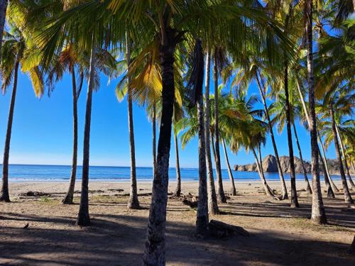 House in the palm forest, Carrillo (photo 10)