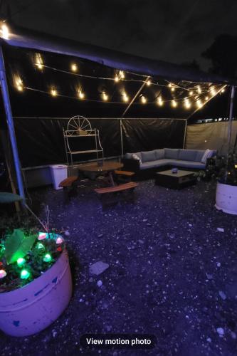 景观, Shroom life farm Chicken shack in 北迈尔斯堡