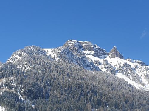 Ciamorc Relax & Sport Appartament for max 2 Adults 1 child 1 infant Ciamorc Relax & Sport Appartament for max 2 Adults 1 child 1 infant