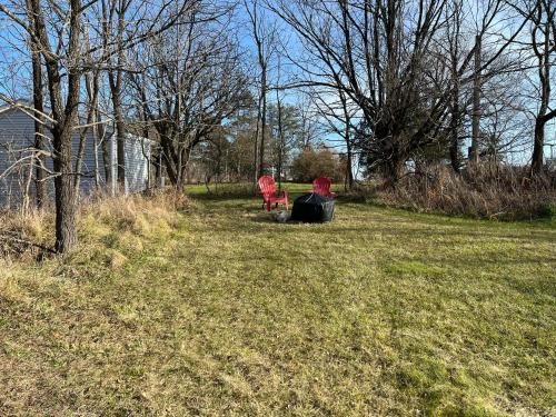 Country Cottage with beautiful views - Saugerties