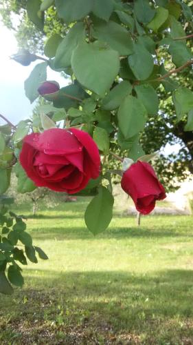 Casa Vacanze "Dimora Quercia" - Appartamento "Quercia"