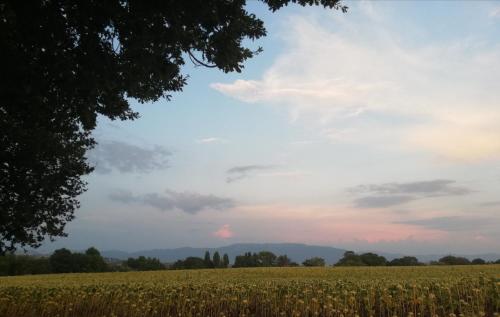 Casa Vacanze "Dimora Quercia" - Appartamento "Quercia"