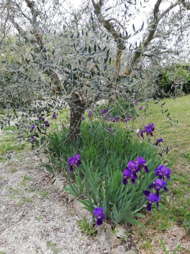 Casa Vacanze "Dimora Quercia" - Appartamento "Quercia"