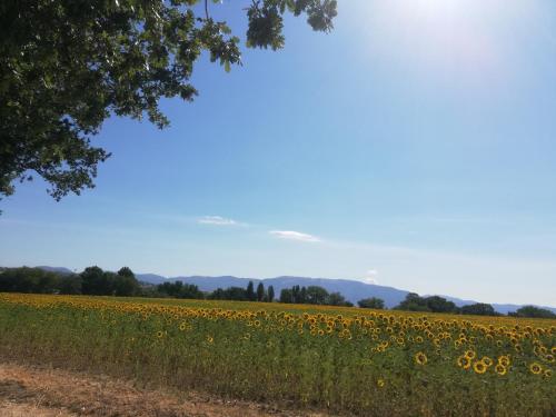 Casa Vacanze "Dimora Quercia" - Appartamento "Quercia"