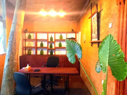 Selnara Private Luxury Villa and Ayurveda Spa in Beruwala