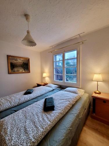 Chalet Nature Park "Apartment Spiez"