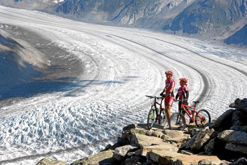 Alpenblick Wellnesshotel - image 5