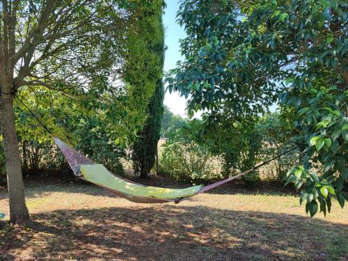 Casa Vacanze "Dimora Quercia" - Appartamento "Quercia"