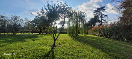 . Il giardino di Marianna