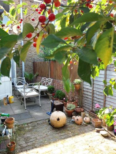 Cosy London single room (near Wimbledon), Londýn