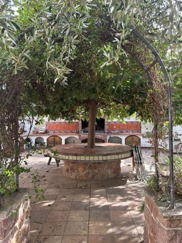 Létesítmények, Casa Mandarina in Xerta
