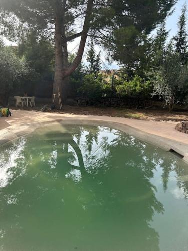 Kilátás, Casa Mandarina in Xerta