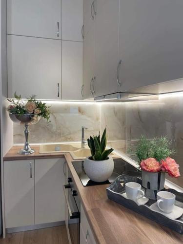 Cozy studio στο κεντρο, Larisa (zdjęcie 8)