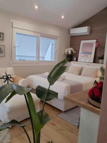 Cozy studio στο κεντρο, Larisa
