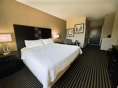 Photo - Holiday Inn San Antonio North Stone Oak Area, an IHG Hotel