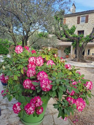 Gîte "Le Tilia" aux magnolias