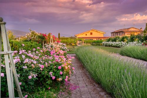 Il Fienile di Assisi