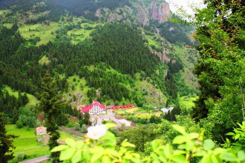 Hotel Green Valley Savsat in Bagdat