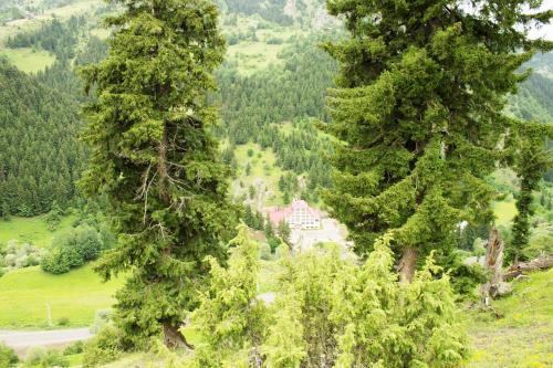 Hotel Green Valley Savsat in Bagdat