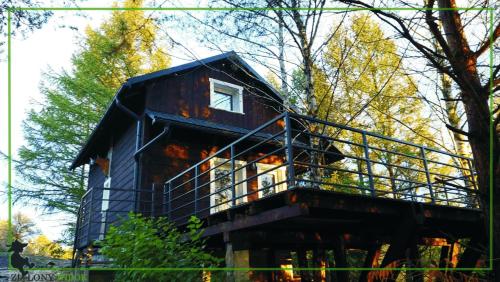 Domek Zielony Widok - noclegi Bieszczady - Chalet - Lesko