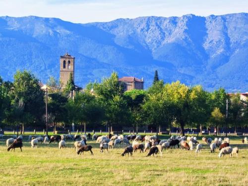 El Escondite de Molina. Valle del Tiétar. El Escondite de Molina. Valle del Tiétar.