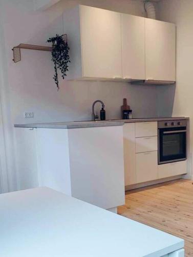 Charmerende bolig nær Domkirken in Рібе