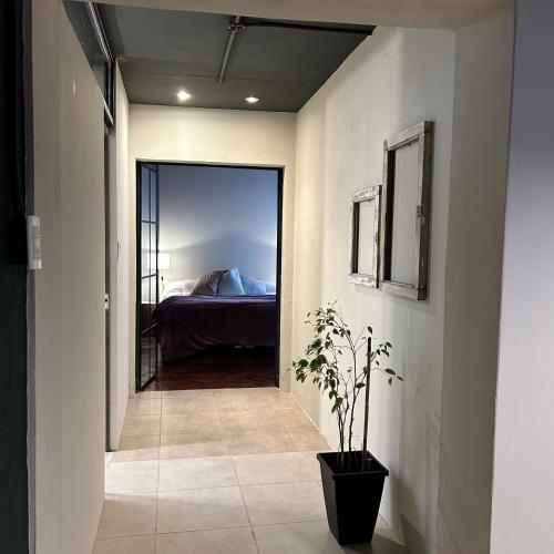 One-Bedroom Apartment image 10