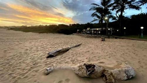 Seaside, Marina Beach