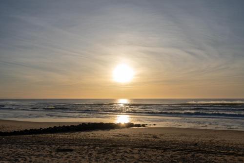 Atlantic Selection - Hossegor la Centrale avec vue Océan