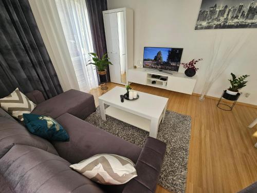 Közös társalgó / TV, Apartament na Orlej w Zamościu (Apartament na Orlej w Zamosciu) in Zamość