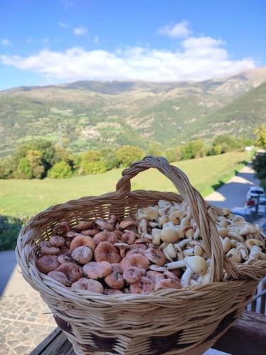 APARTAMENTO EN LA VALL FOSCA in Torre de Capdella
