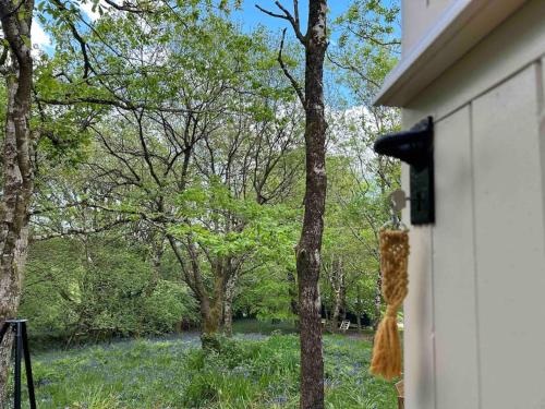 Cornwall Woodland Shepherd's Hut - Dennis Hut in Lanivet